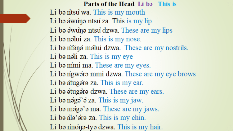 Parts Of The Head In Nkwen Language - General Education For All And Entertainment