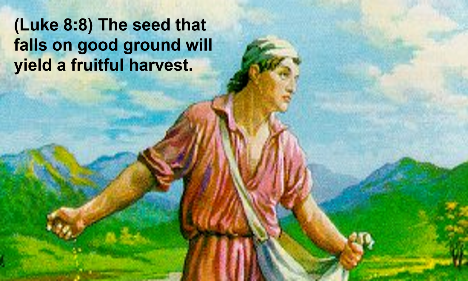 Parable of the Sower. Fifteenth Sunday in Ordinary Time Year A