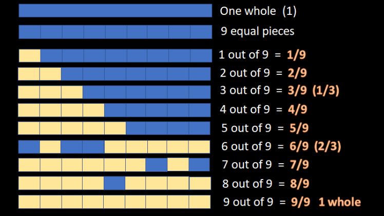 Fractions - General Education For All And Entertainment