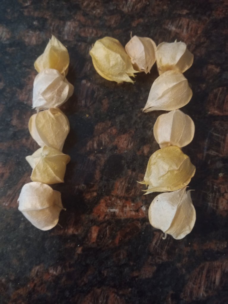 img_20220904_175320_5824200520250430992687