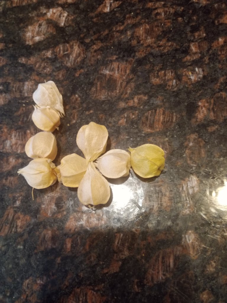 img_20220904_173425_0791955951556913319525