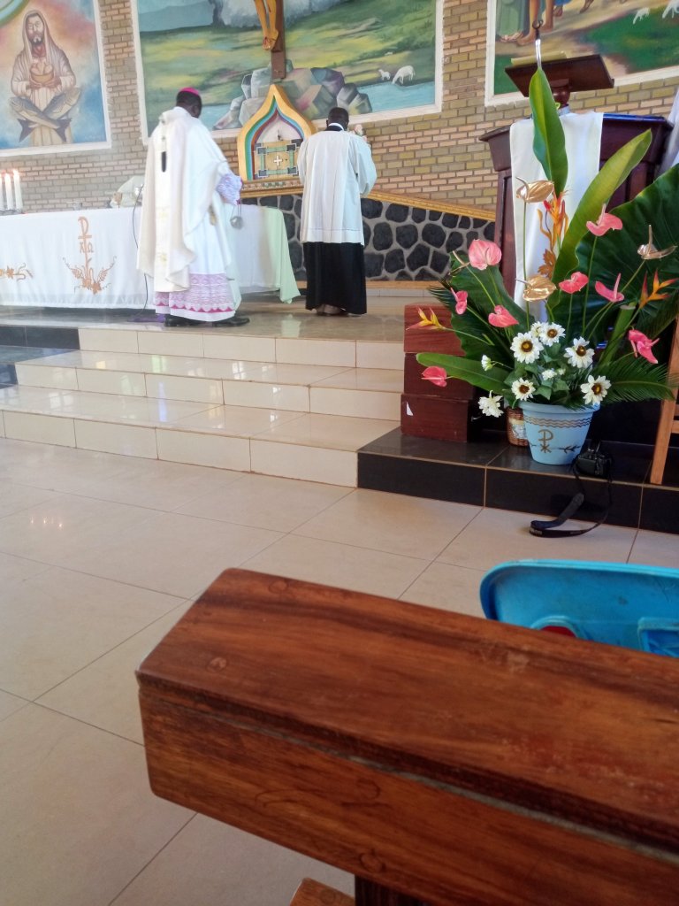 img_20221209_042106_724-11823063451709843119