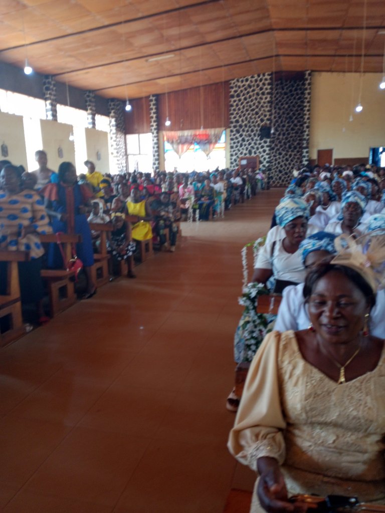 img_20221211_035048_905-22149553973925057278