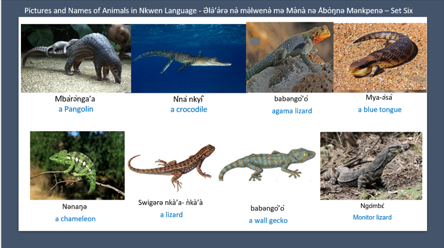 Pictures and Names of Animals in Nkwen Language - Ə̀lǝ̀’ǝ̀rǝ nǝ̀ mǝ̀lwenǝ̀ mǝ Mǝ̀nà nǝ Àbòŋnǝ Mǝnkpènǝ – Set Seven