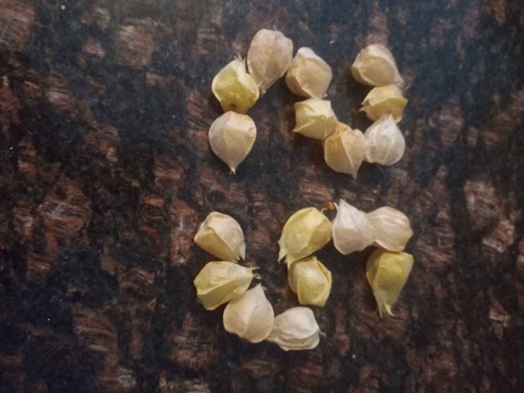 img_20220904_180146_3448224654881479096704