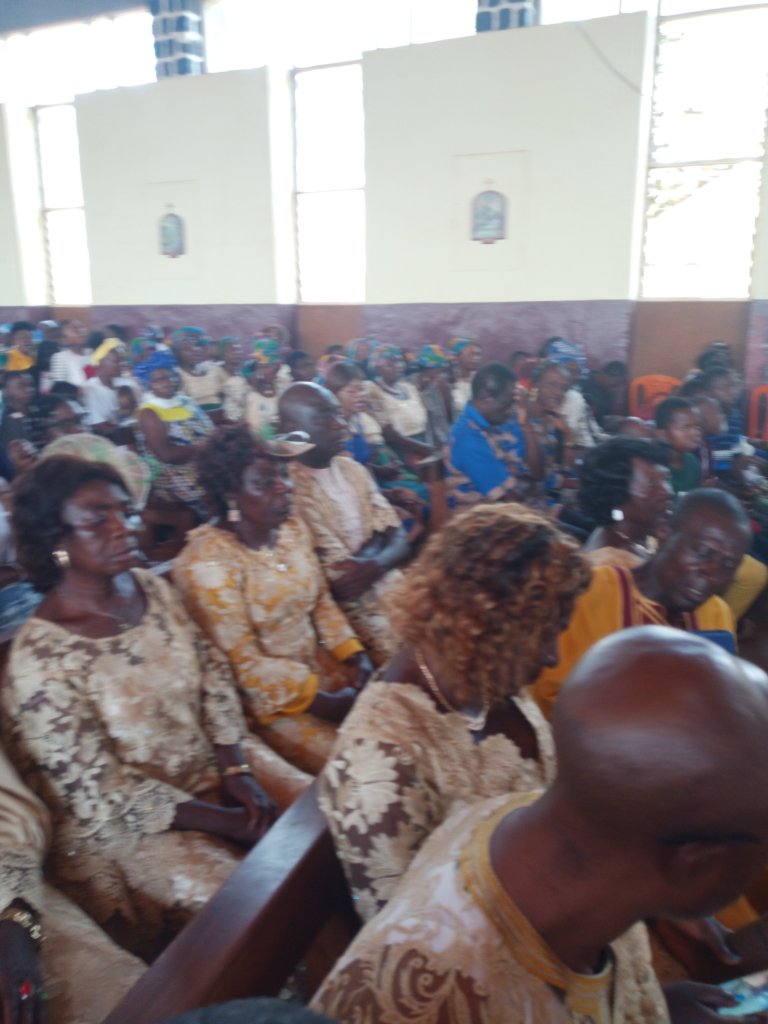 img_20221211_035055_0373865077737611615214