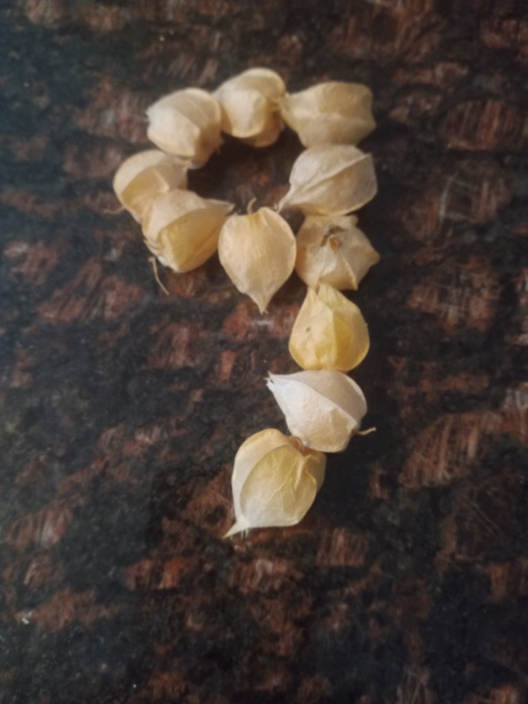 img_20220904_174018_5113233308699213322788