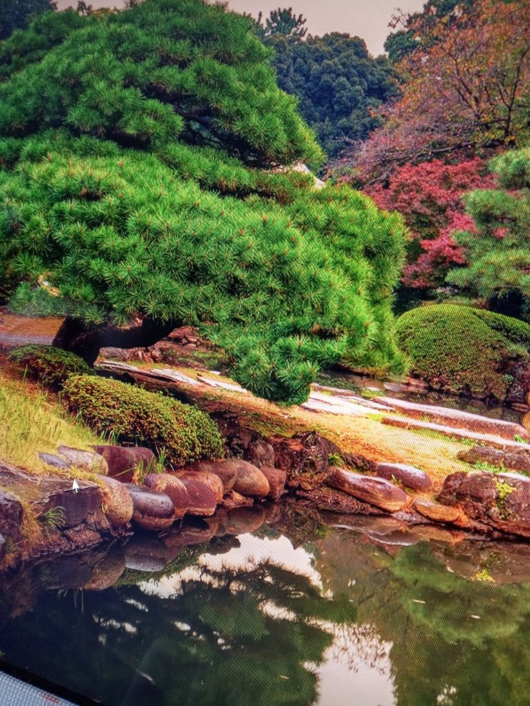 wp-16833145696943996469416643514797