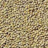soya beans