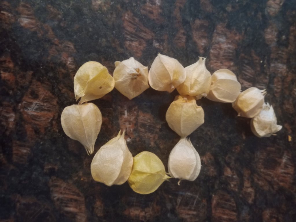 img_20220904_173602_2651213729121649249845