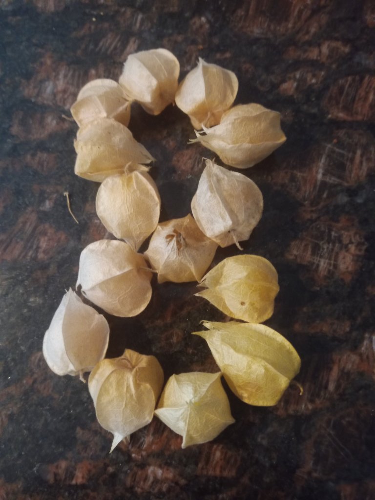 img_20220904_173936_1912941555070177731825