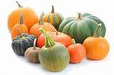 Names of food crops pumpkins