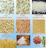 Names of food crops beans