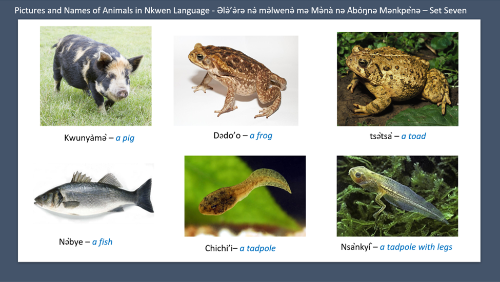 Pictures and Names of Animals in Nkwen Language - Ə̀lǝ̀’ǝ̀rǝ nǝ̀ mǝ̀lwenǝ̀ mǝ Mǝ̀nà nǝ Àbòŋnǝ Mǝnkpènǝ – Set Seven - General Education For All And Entertainment