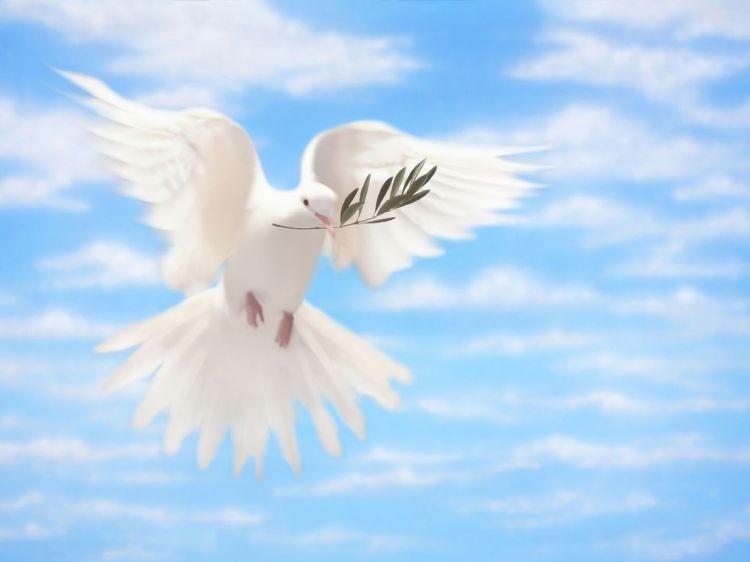 Responsorial Psalm for Pentecost Sunday - General Education For All And Entertainment