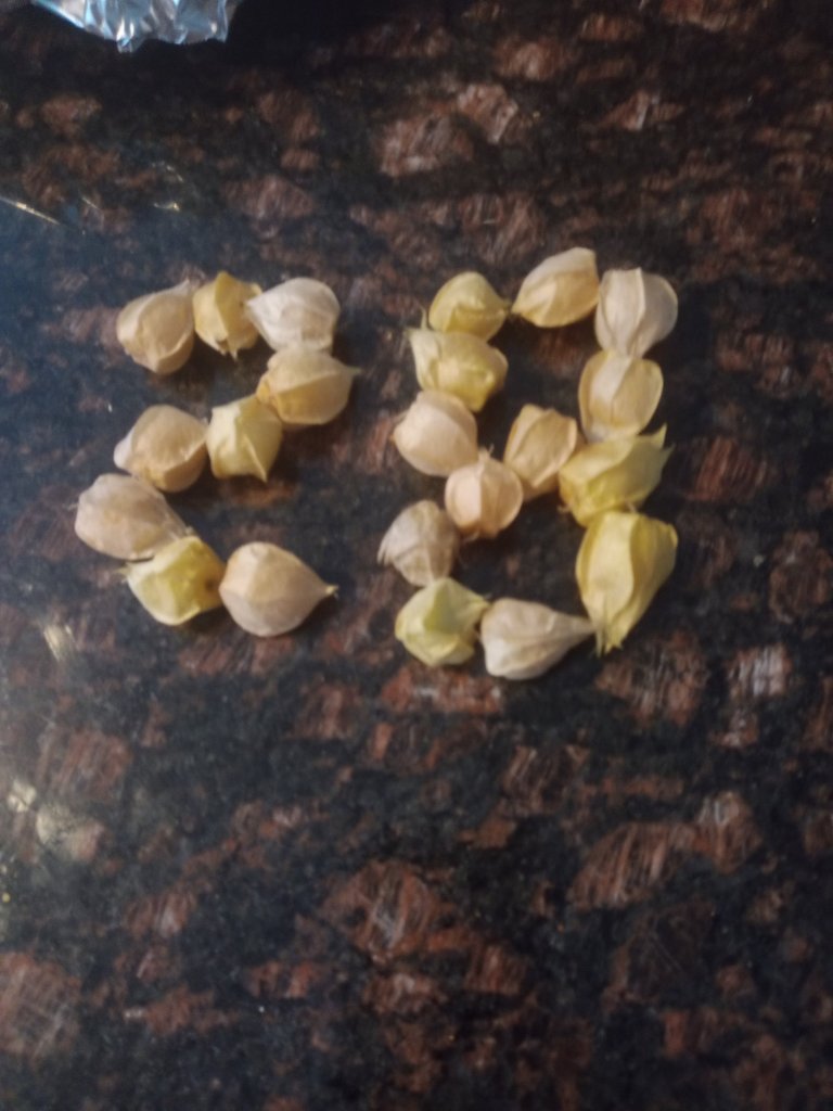 img_20220904_181142_4517729450101559018471