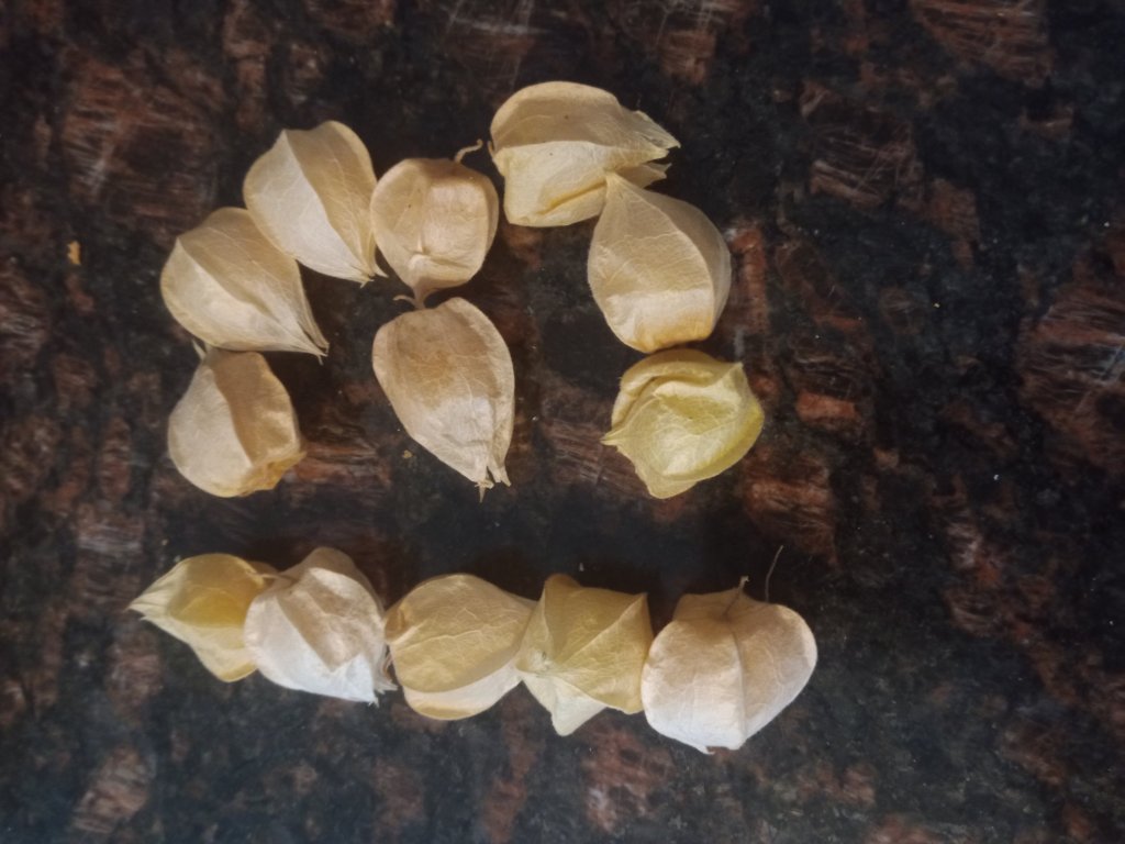 img_20220904_175054_9926921480005544279745