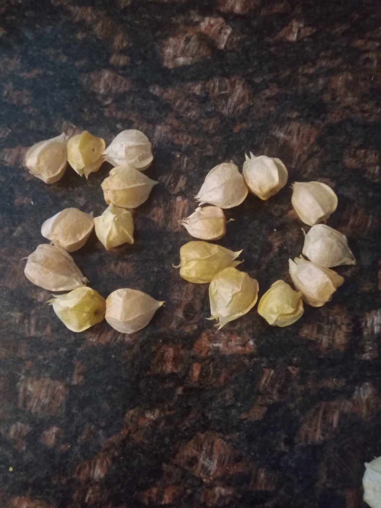 img_20220904_175743_5853186776503960838723