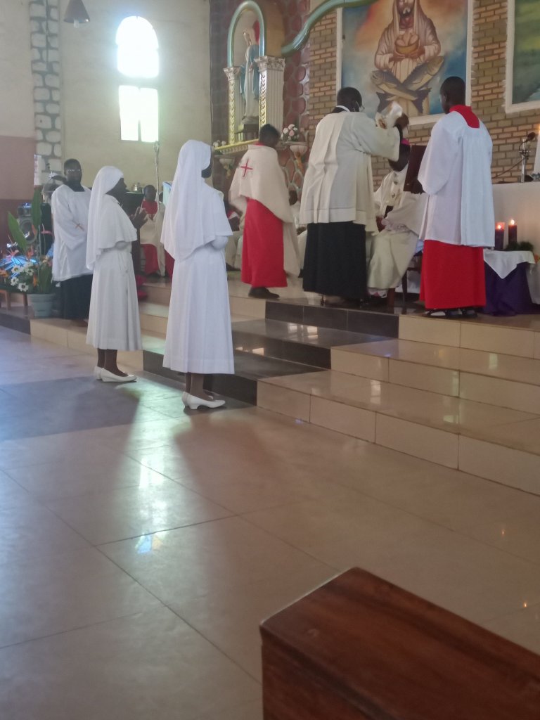 img_20221209_032802_2561641022068963574147