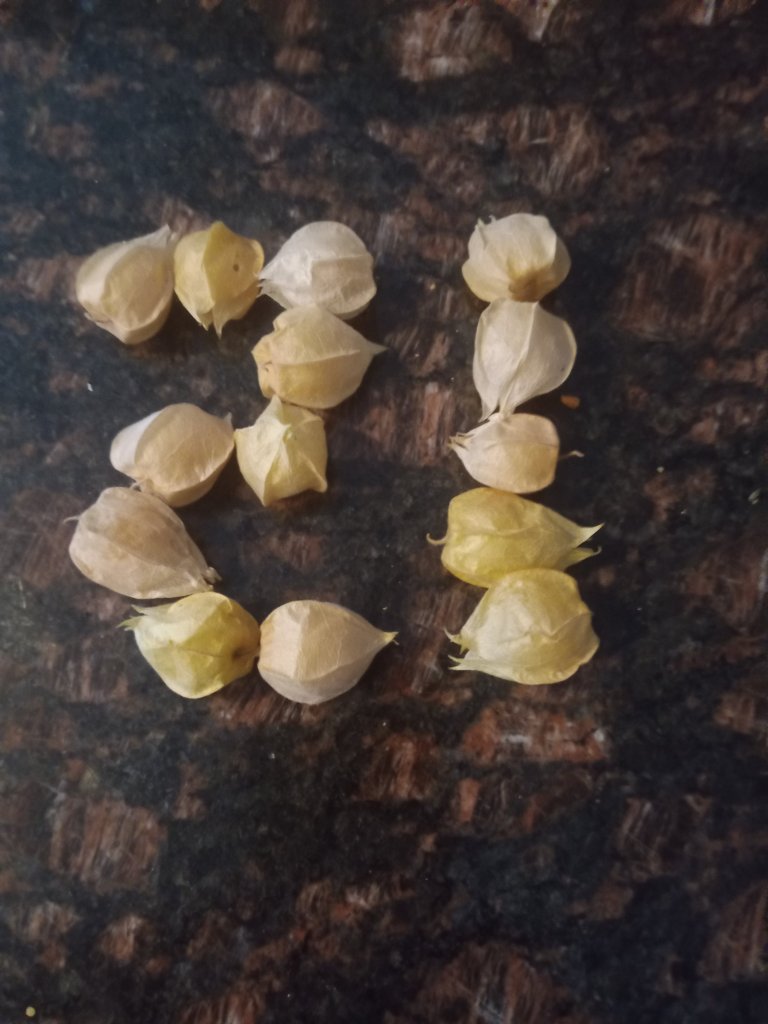 img_20220904_175804_5374035630803338915814