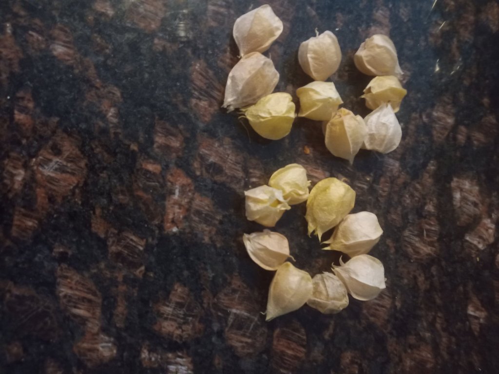 img_20220904_181406_2321607809776306932852