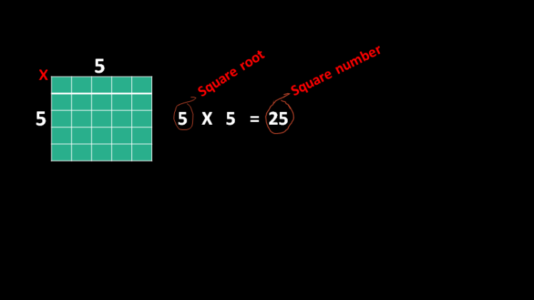 Square Root and Square Number
