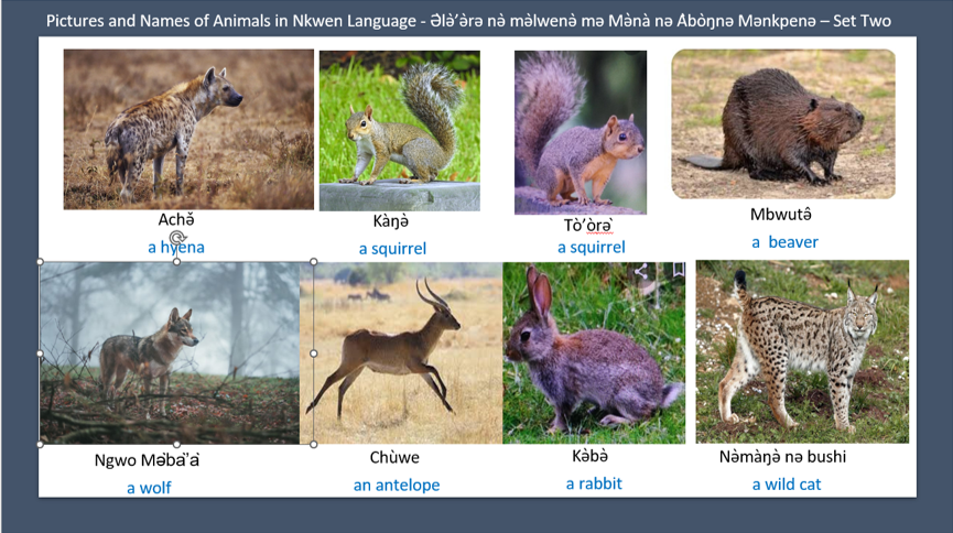Pictures and names of Animals in Nkwen Language - Ə̀lǝ̀’ǝ̀rǝ nǝ̀ mǝ̀lwenǝ̀ mǝ Mǝ̀nà nǝ Àbòŋnǝ Mǝnkpènǝ - Set two