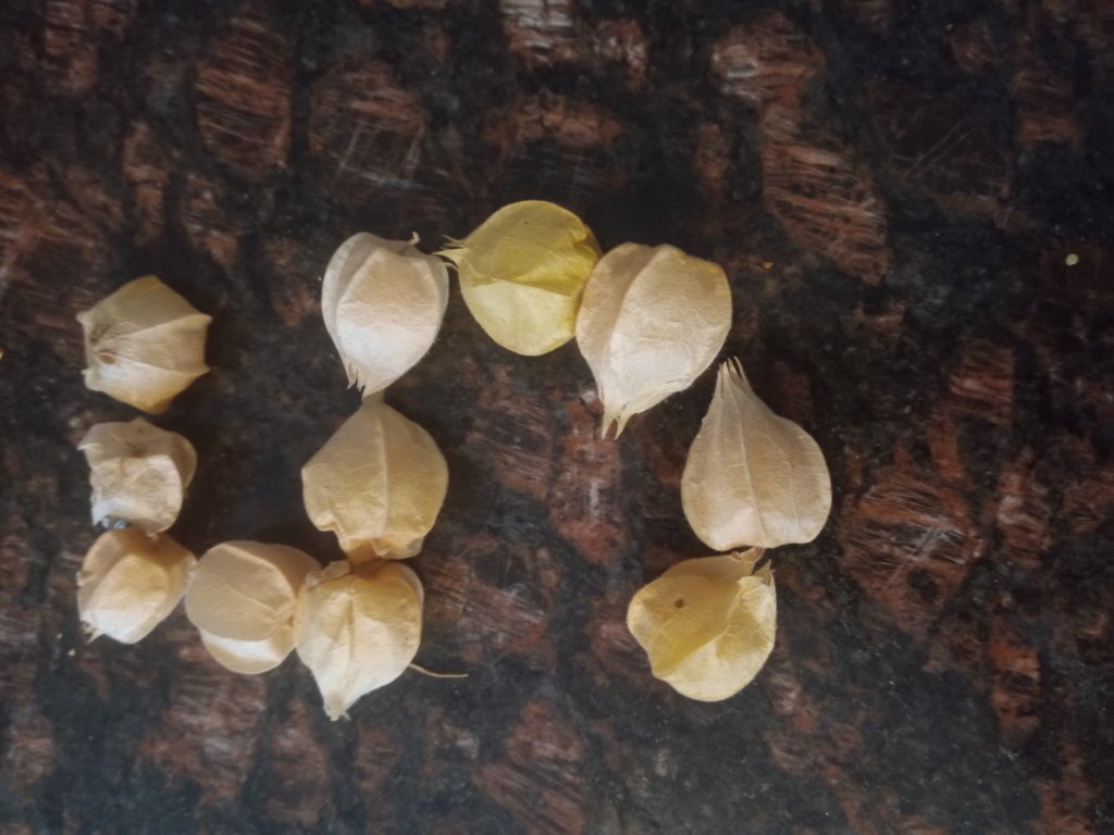 img_20220904_173523_7797229040347988224034