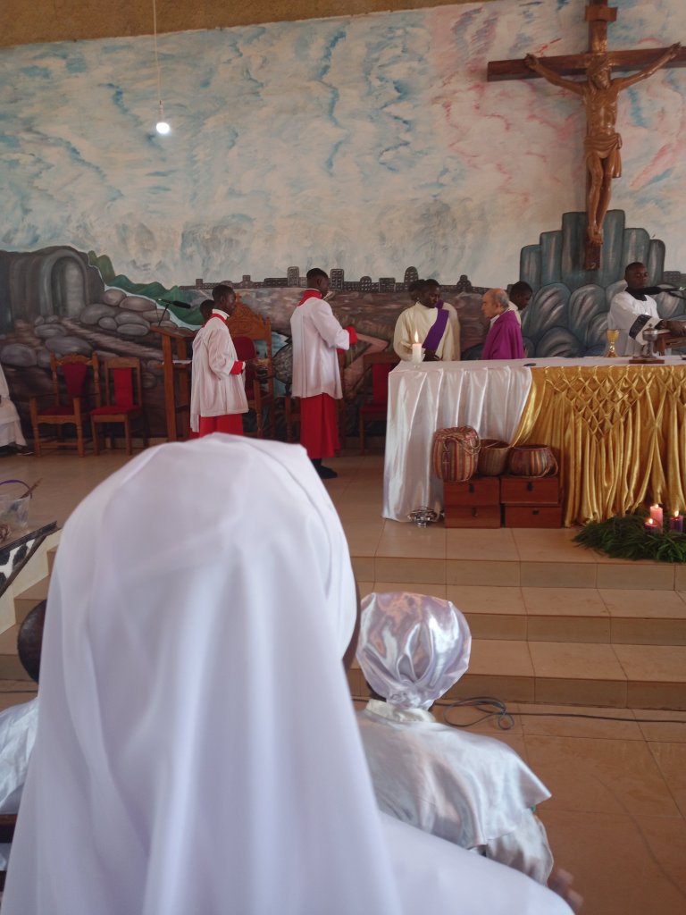 img_20221211_035112_492-28195134312234132254