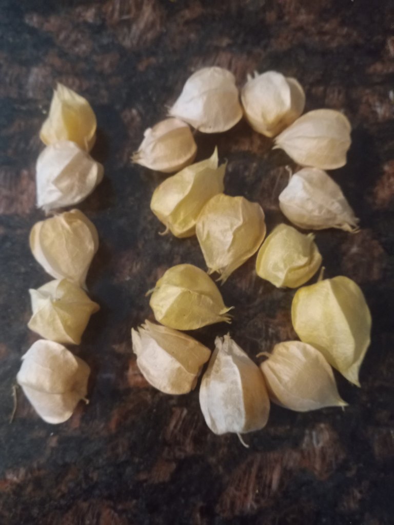 img_20220904_175452_4992798554078396512553